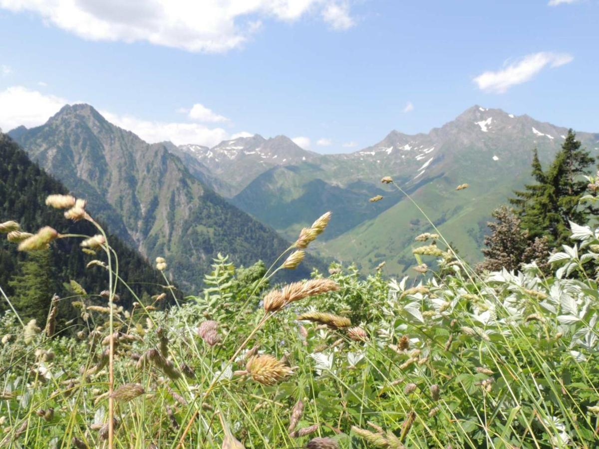 Studio Pour 4 Personnes Au Centre De Cauterets, Proche Telecabines Et Thermes - Fr-1-234-269 Exteriér fotografie